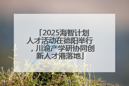 2025海智计划人才活动在德阳举行，川渝产学研协同创新人才港落地