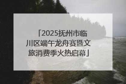 2025抚州市临川区端午龙舟赛暨文旅消费季火热启幕