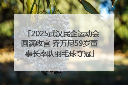 2025武汉民企运动会圆满收官 乔万尼59岁董事长率队羽毛球夺冠