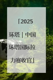 2025环塔｜中国环塔国际拉力赛收官