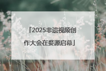 2025非遗视频创作大会在婺源启幕