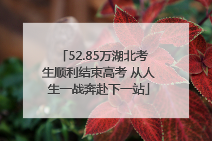 52.85万湖北考生顺利结束高考 从人生一战奔赴下一站
