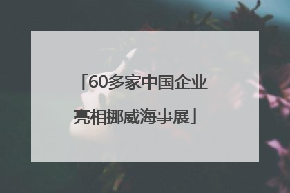 60多家中国企业亮相挪威海事展