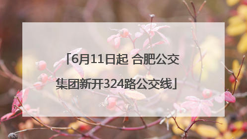 6月11日起 合肥公交集团新开324路公交线