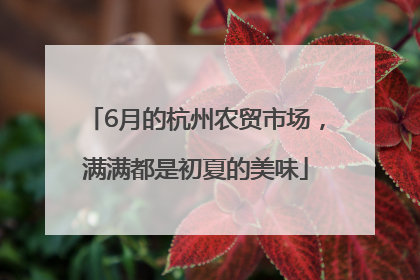 6月的杭州农贸市场，满满都是初夏的美味