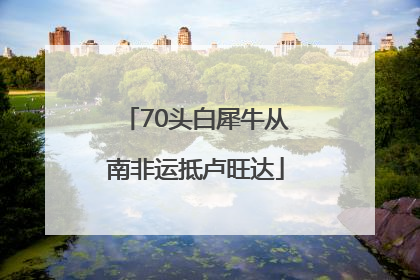 70头白犀牛从南非运抵卢旺达