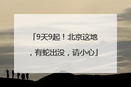 9天9起！北京这地，有蛇出没，请小心