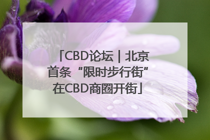 CBD论坛｜北京首条“限时步行街”在CBD商圈开街