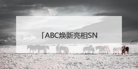ABC焕新亮相SNEC展，爱旭领跑“25%”价值新时代