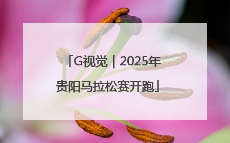 G视觉｜2025年贵阳马拉松赛开跑