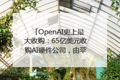 OpenAI史上最大收购：65亿美元收购AI硬件公司，由苹果前设计总监创办